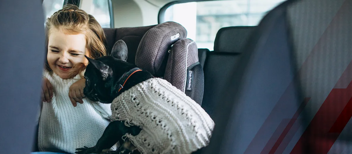 Top 10 Baby Car Seat Companies Parents or Caregivers Should Consider